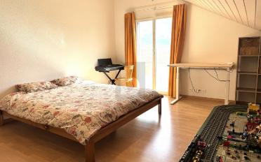 Doppeleinfamilienhaus 6.5 Zimmer - image - 3