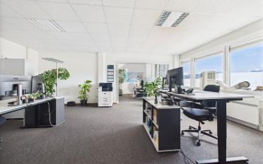 Büro 2.5 Zimmer - image - 2