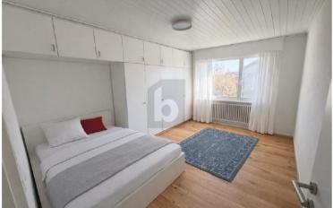 Doppeleinfamilienhaus 5.5 Zimmer - image - 4