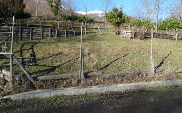 Agrarland - image - 4
