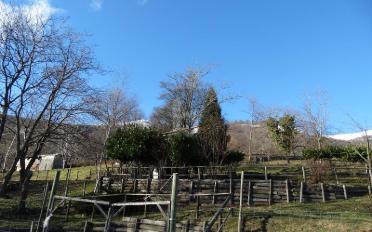 Agrarland - image - 2