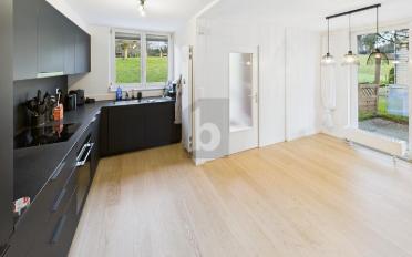 Doppeleinfamilienhaus 5.5 Zimmer - image - 2