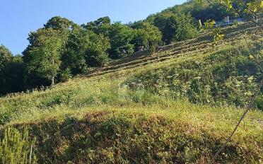 Building land - image - 3