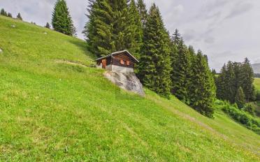 Chalet 2.5 pièces - image - 2