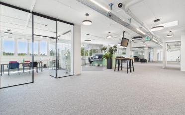 Office 9 rooms - image - 3