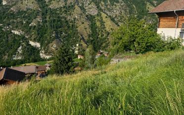Building land - image - 5