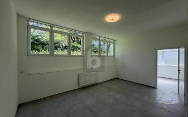 Office 3.5 rooms - image - 1
