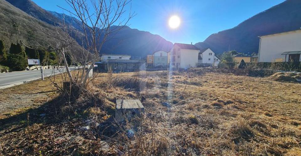 Maggia