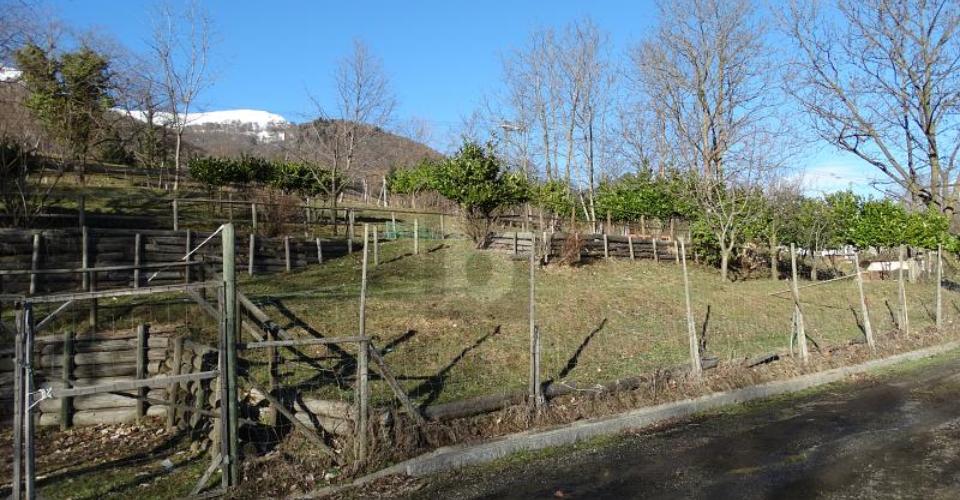 Miglieglia, Ticino
