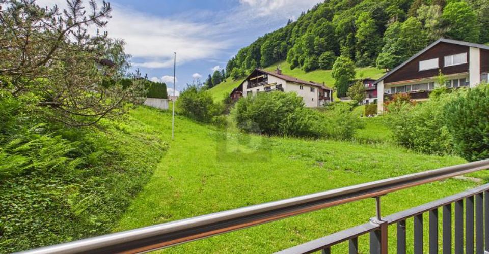 Wildhaus
