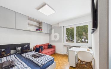 Appartement 1.5 pièces - image - 1