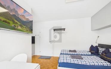 Appartement 1.5 pièces - image - 5