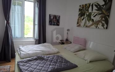 Maison jumelée 8 pièces - image - 5