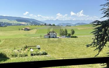 Duplex 7.5 Zimmer - image - 5