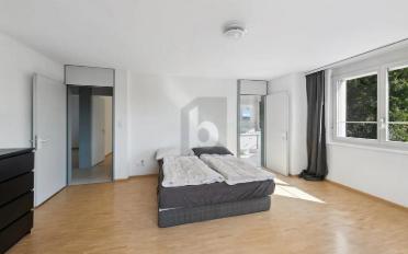 Doppeleinfamilienhaus 6.5 Zimmer - image - 5