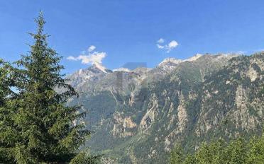 Chalet 5 pièces - image - 1