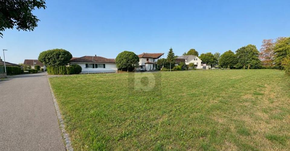 Deitingen