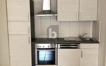 Immeuble résidentiel 20 pièces - image - 3