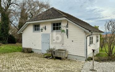 Single house 12 rooms - image - 2