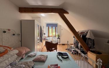 Single house 10 rooms - image - 5