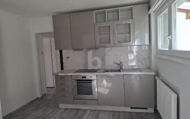 Doppeleinfamilienhaus 8 Zimmer - image - 2