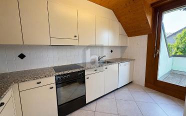 Duplex 5.5 pièces - image - 2