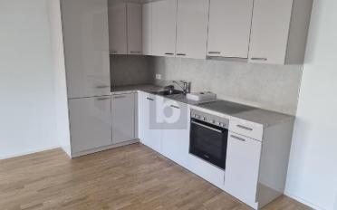 Apartment 2 rooms - image - 4
