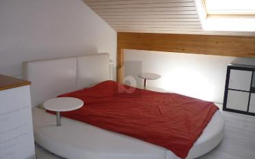 Appartement meublé 1.5 pièces - image - 3