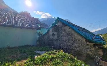 Einfamilienhaus 4 Zimmer - image - 4
