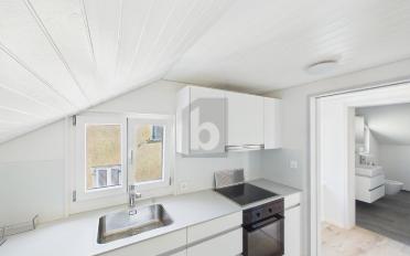 Roof flat 3.5 rooms - image - 3