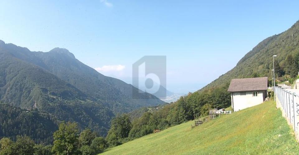 Cerentino