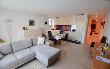 Wohnung 2.5 Zimmer - image - 1
