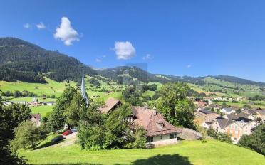 Villa 10 Zimmer - image - 1