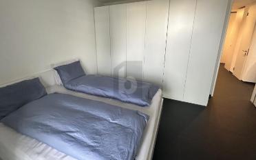 Wohnung 2.5 Zimmer - image - 5