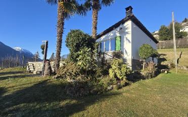 Chalet 3.5 Zimmer - image - 2