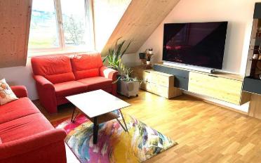 Attic flat 3.5 rooms - image - 2