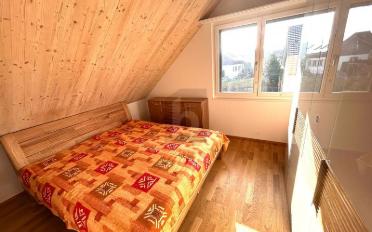 Attic flat 3.5 rooms - image - 5