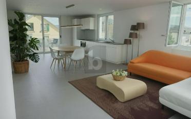 Wohnung 3.5 Zimmer - image - 2