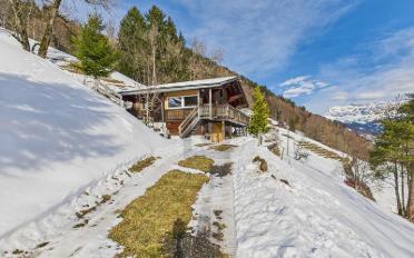 Chalet 3.5 Zimmer - image - 2