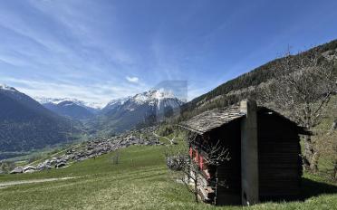 Chalet 5.5 Zimmer - image - 3