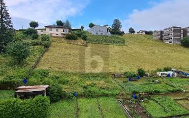 Appartement 3.5 pièces - image - 3
