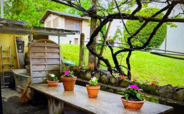 Single house 5 rooms - image - 5