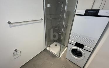 Wohnung 4.5 Zimmer - image - 5