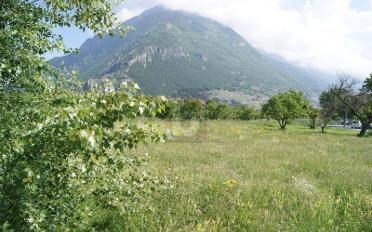 Gewerbeland - image - 3