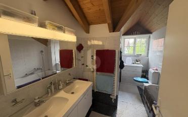 Duplex 3.5 rooms - image - 5