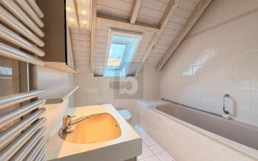 Doppeleinfamilienhaus 5.5 Zimmer - image - 5