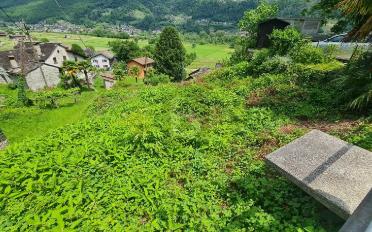 Building land - image - 4