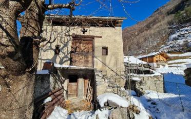 Single house 3 rooms - image - 4