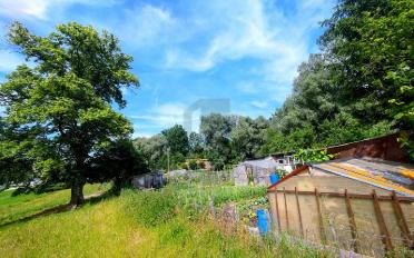 Bauland ein Zimmer - image - 1