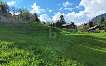 Bauland - image - 4